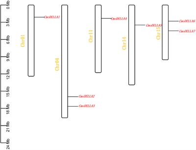 Genome-wide characterization and expression of DELLA genes in Cucurbita moschata reveal their potential roles under development and abiotic stress